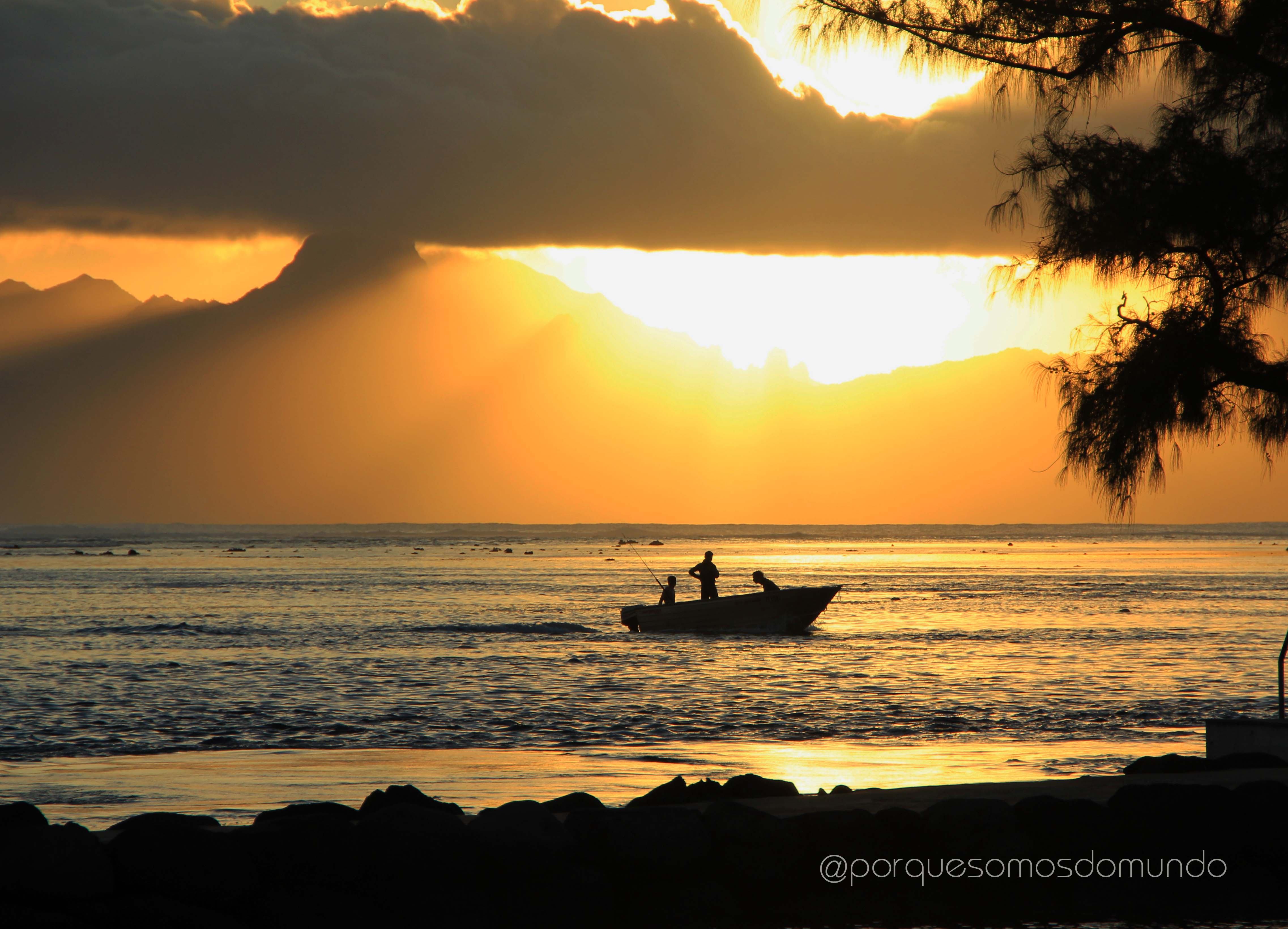 Foto-Viagem de cada qual
